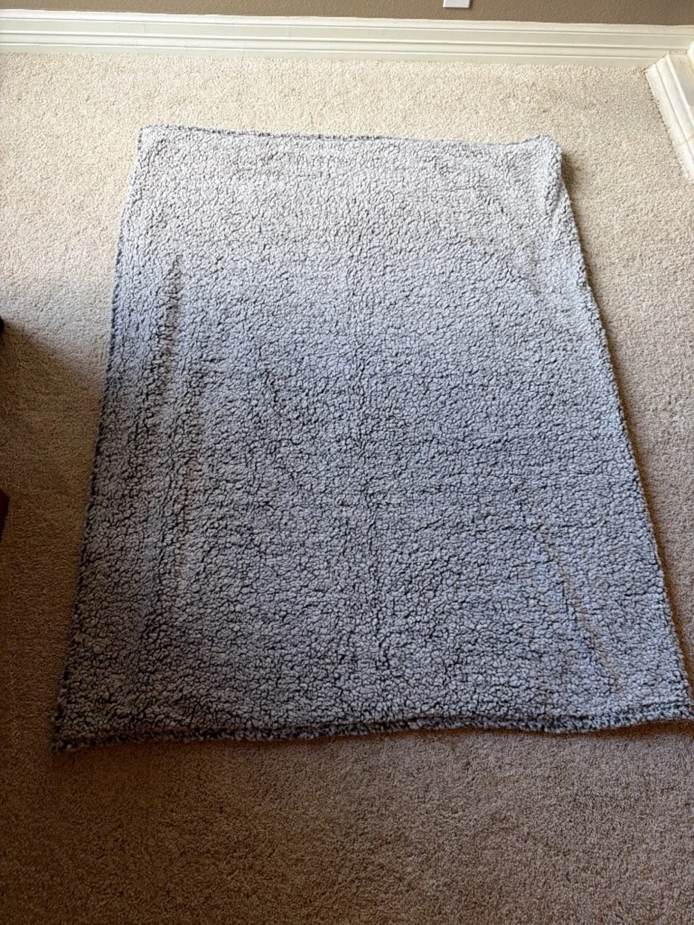 Longhorn Sherpa Blanket NWT